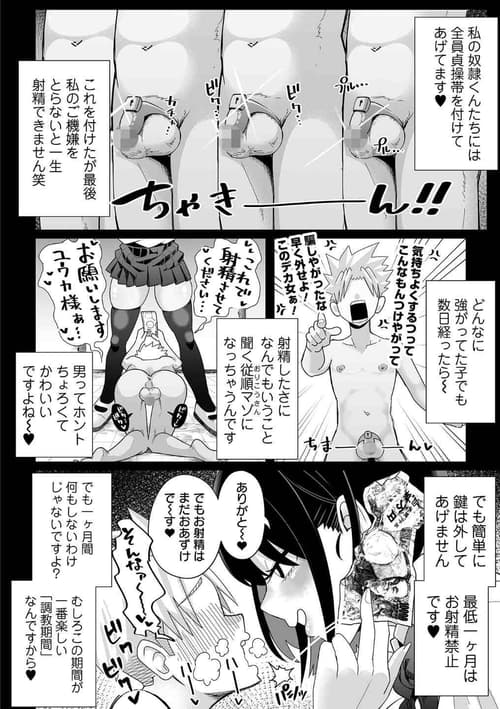 ザコマゾ・ホイホイ 無料サンプル画像